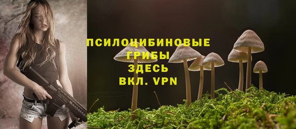 гидра Снежинск