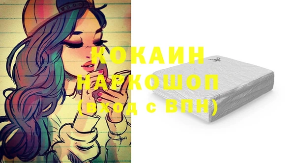 прущие грибы Бабаево