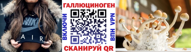 как найти закладки  Томмот  Псилоцибиновые грибы мицелий 